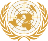 Organisation des Nations Unies